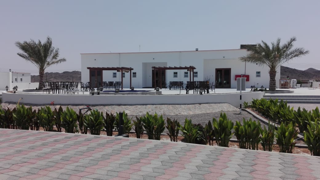 Walkways & Open areas