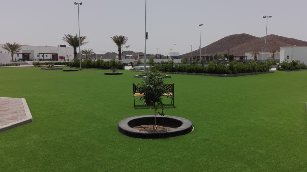 Walkways & Open areas
